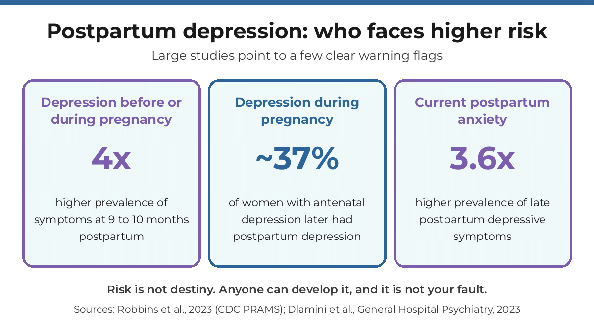Postpartum depression risk factors chart: prior depression, depression during pregnancy, and postpartum anxiety